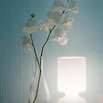 Artep 73 Gaestewohnung-vintage ブレーメン